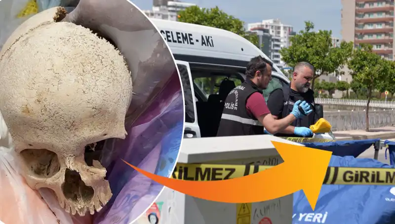Çöp Kutusundaki Gizemli Kafatası: Uzman Doktor Gözaltında!