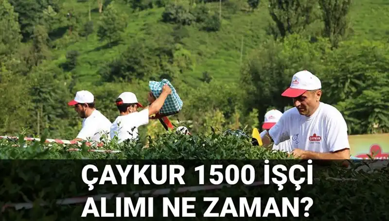 Çaykur İşçi Alımı İçin Başvuru Tarihleri Açıklandı! Kaçırmayın!