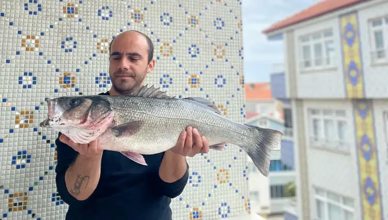 7,5 Kiloluk Dev Levrek, Balıkçılık Tarihine Geçti