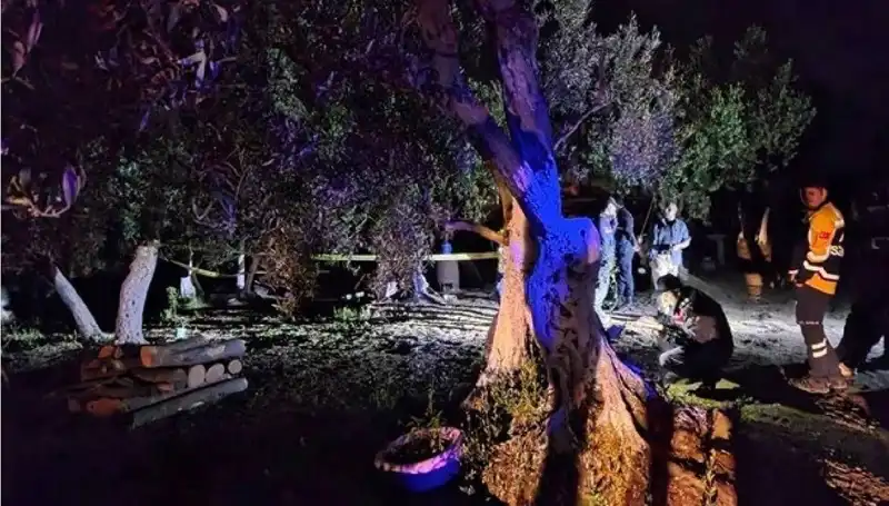 Çiftlikteki Baltalı Vahşet: Ölüm ve Tutuklamalar Herkesi Şoke Etti