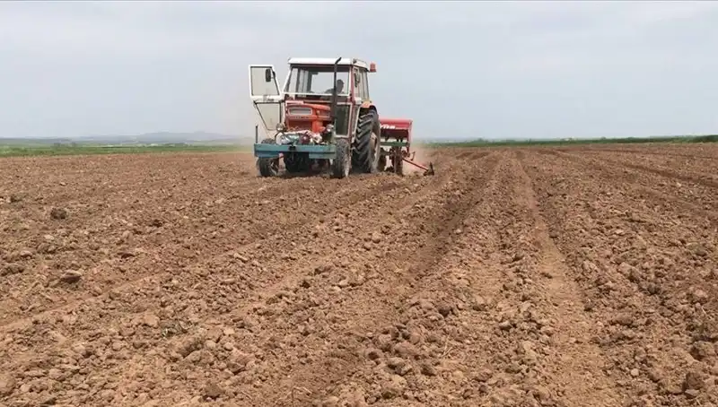 Son 35 Yılda Görülen En Kurak Mart Ayı: Yağışlar Neden Bu Kadar Düştü?