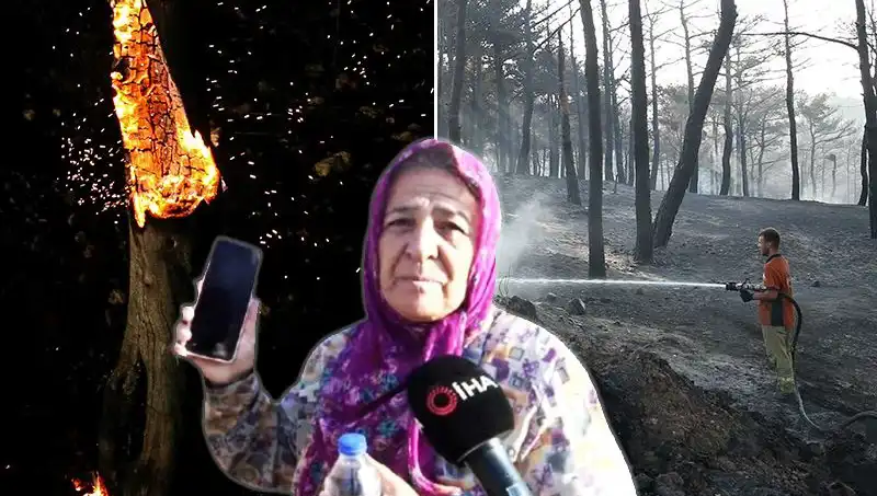 Çanakkale’deki Orman Yangınları Kontrol Altına Alındı: Kayıplar ve Yeniden Doğuş Süreci