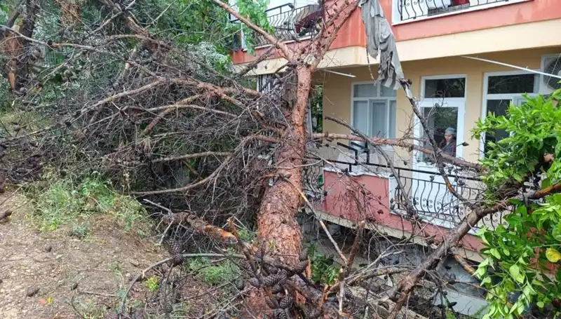 Yağışların Ardından Gelen Felaket: Bina Devrildi!