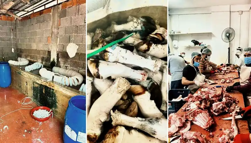 Adana'da Şok Eden Operasyon: Yüzlerce Kilo Paça Ele Geçirildi!