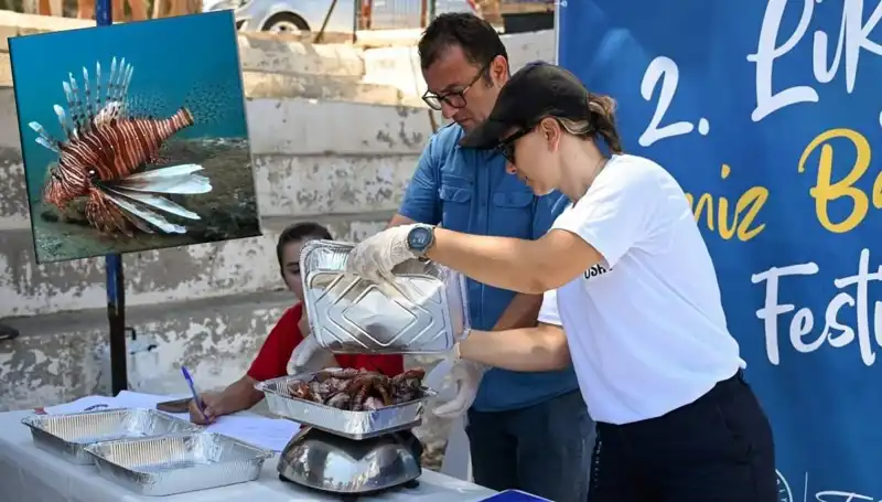 Antalya'da Asi Aslan Balıkları İçin Düzenlenen Büyüleyici Avlama Yarışması