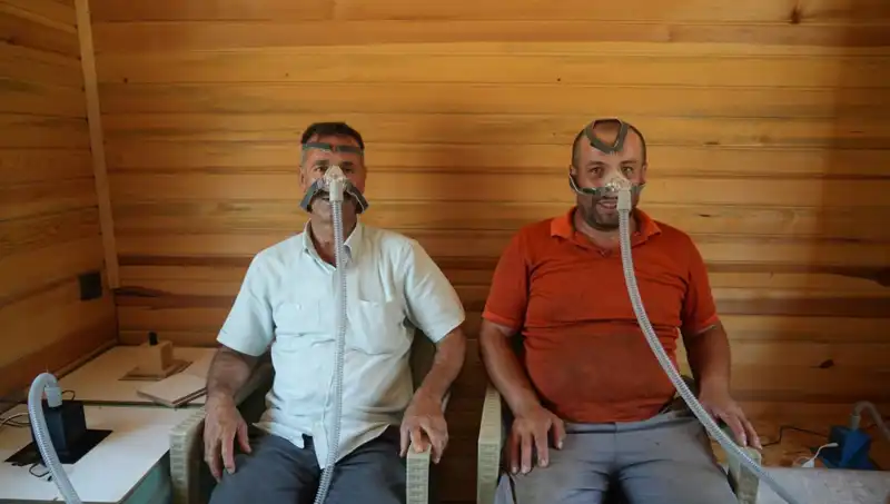 Alerji ve Astım Tedavisinde Doğal Çözümler: Yeni Yöntemler ve Şifa Bulma Yolları