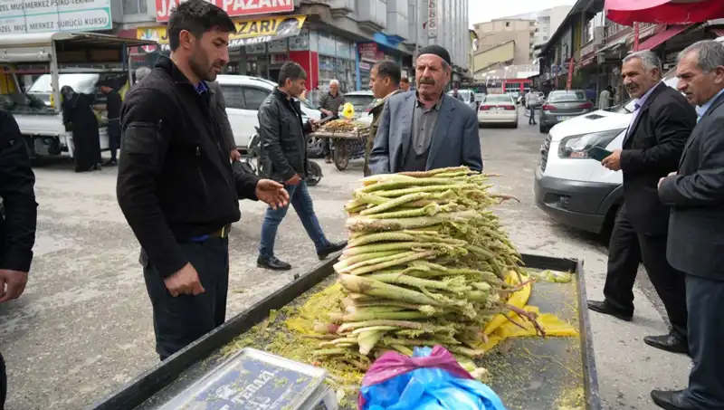Dağlık Alanlarda Toplanan Şekerin Sağlığa Faydaları ve İnanılmaz Özellikleri