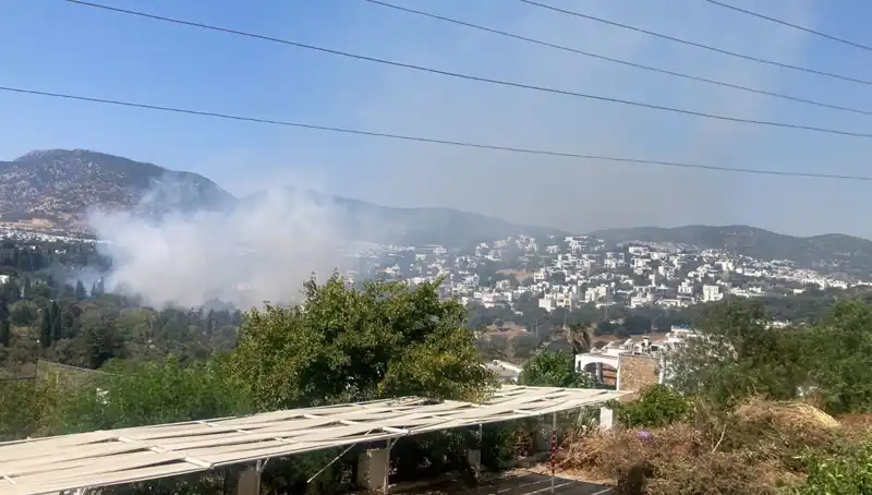 Muğla'da Devam Eden Orman Yangınları Kontrol Altına Alındı!