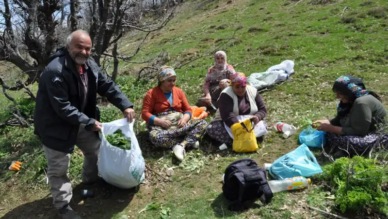 Doğanın Hediye Ettiği Değer: 5 Saatten Fazla Yürüyerek Toplanan Sedef