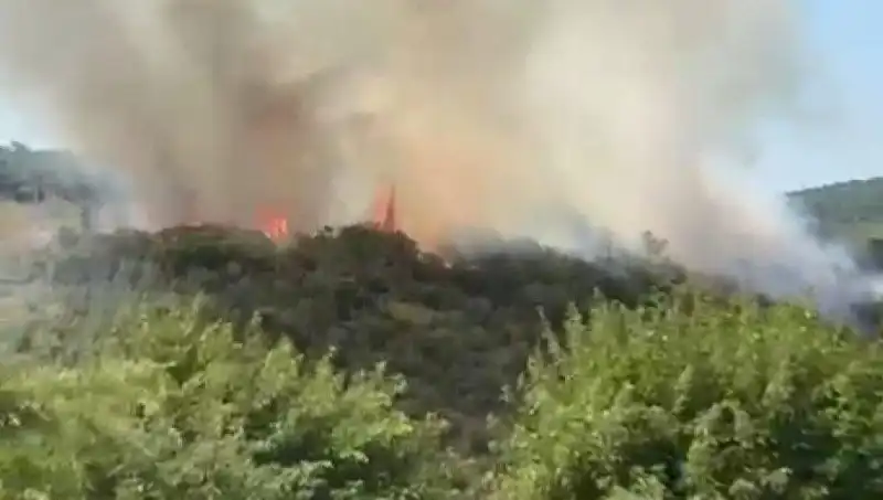 İstanbul'da Çıkan Orman Yangını: Acil Tahliye Üzerine Gelişmeler